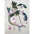 Samuel Holden - Orchid Print (Framed) - Limited Edition Artworks at Kings Carpets and Interiors