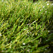 Artificial Grass at Kings of Nottingham the flooring specialists.