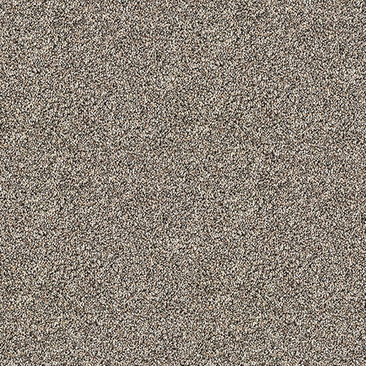 Abingdon Carpets Stainfree Rustique Saxony Walnut