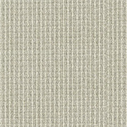 Alternative Flooring Wool Rhythm Louis Carpet 2861