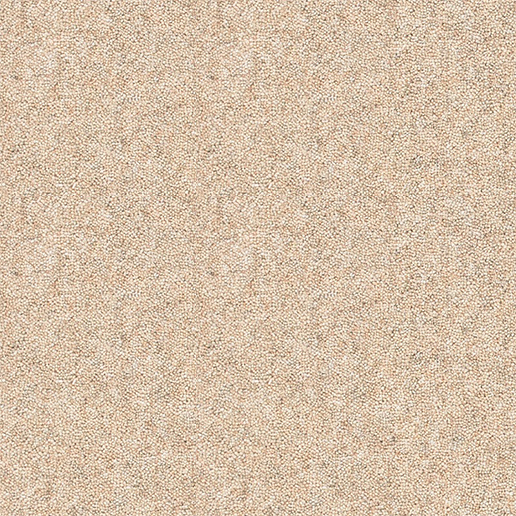 Brockway Carpets Dimensions Heathers 40oz Natural Heather DH5 4793