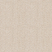 Brockway Carpets Dimensions Plain 40oz Twist Champagne DIM4 0011