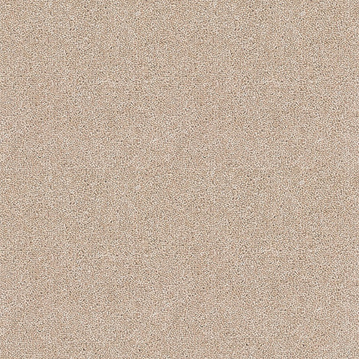 Brockway Carpets Dimensions Plain 40oz Twist Dark Tusk DIM4 0024