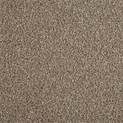 Cormar Carpets Primo Choice Elite Filbert - Easy Clean Twist - Free Fitting Within 25 Miles of Nottingham