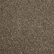 Cormar Carpets Primo Choice Elite Mustang - Easy Clean Twist - Free Fitting Within 25 Miles of Nottingham