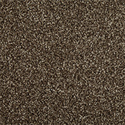 Cormar Carpets Primo Choice Elite Truffle - Easy Clean Twist - Free Fitting Within 25 Miles of Nottingham