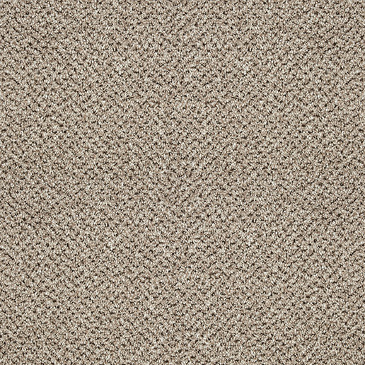 Cormar Carpets Primo Tweeds Moccasin