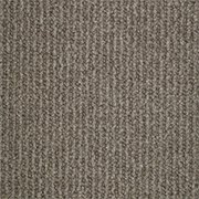 Crucial Trading Pride Shadow Grey Carpet WP352