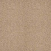Cormar Carpets Trinity Palm Sugar - Easy Clean Twist Carpet - Free Fitting Within 25 Miles of Nottingham
