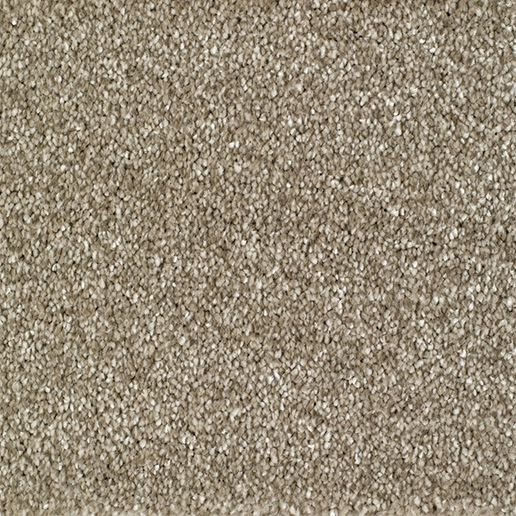 Everyroom Carpet Barcome Fawn