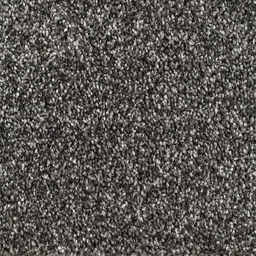 Everyroom Carpet Brixham Grey