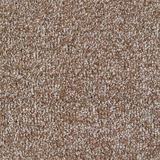 Everyroom Carpet Carrick Cove beige