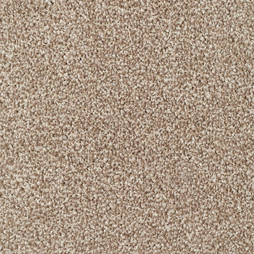 Everyroom Carpet Mullion Beige