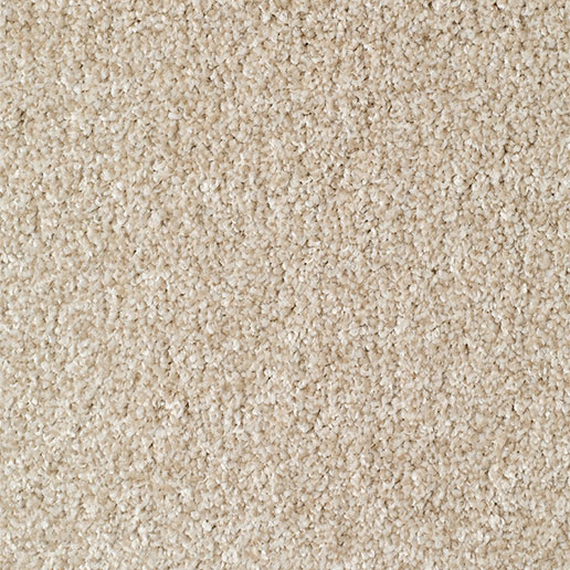 Everyroom Carpet Mullion Cream