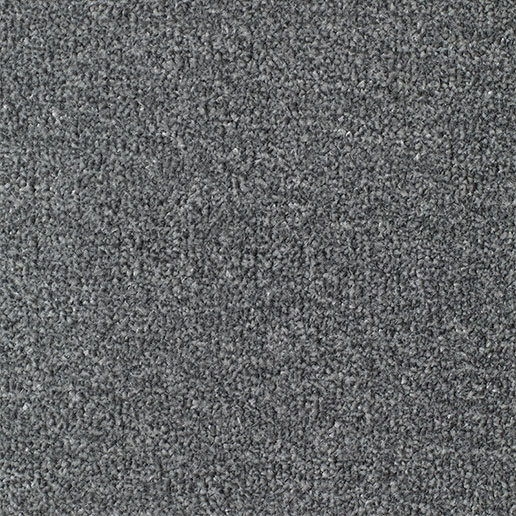 Everyroom Carpet Pentire Platinum
