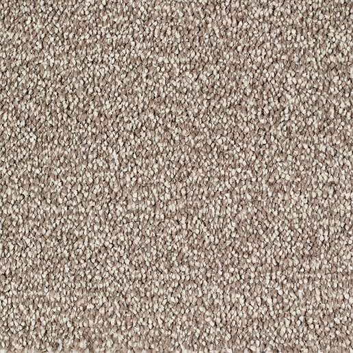 Everyroom Carpet Plumpton Beige