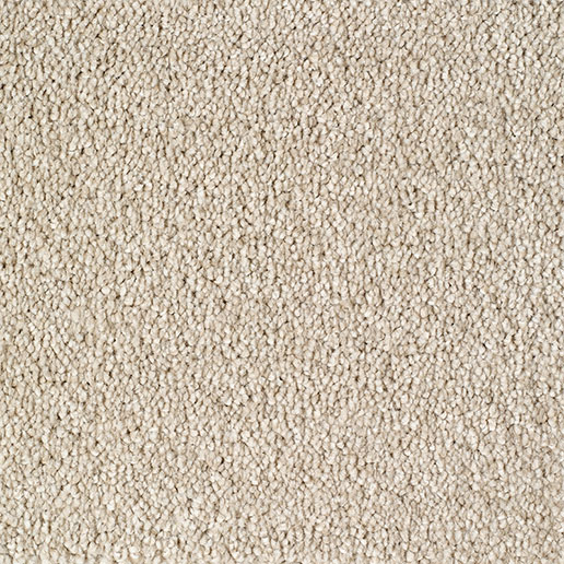 Everyroom Carpet Plumpton Cream