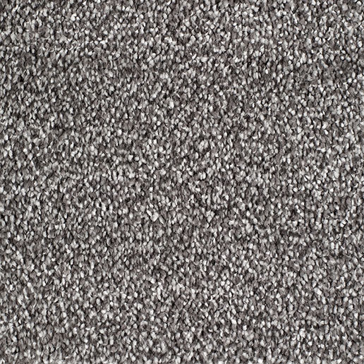 Everyroom Carpet Plumpton Platinum