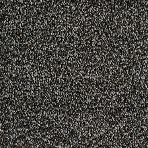 Everyroom Carpet Plumpton Slate
