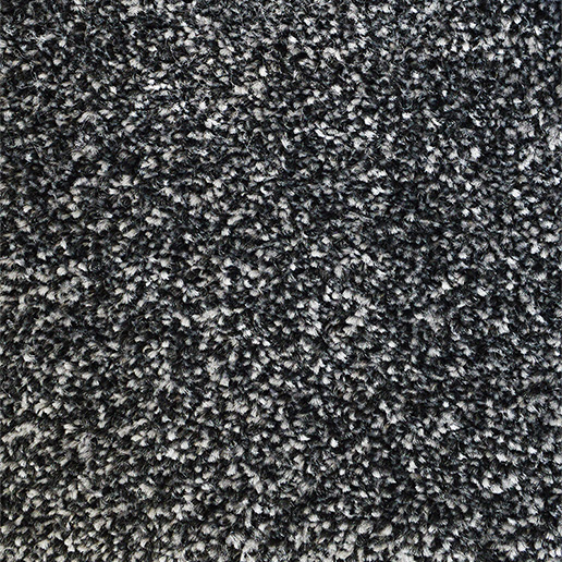 Every Room Saxony Carpet Rye Shadow