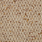 Gaskell Woolrich Carpet Rusticana Nova Larch, from Kings Carpets - the best place to buy Gaskell Woolrich Carpets. Call Today - 0115 9455584