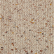 Gaskell Woolrich Carpet Rusticana Original Sweet Birch, from Kings Carpets - the best place to buy Gaskell Woolrich Carpets. Call Today - 0115 9455584