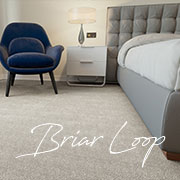 Westex Carpets Briar Loop Pile