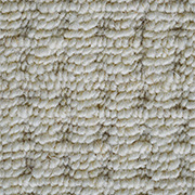 Cream Loop Pile 50% Wool 5.01m x 4.83m