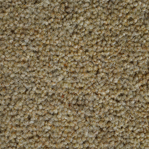 Kildare Doeskin 32oz 80% Wool Twist Pile 5.58m x 4m