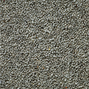 Victoria Carpets Burford Twist 80% Wool 50oz Cheatle 4.2m x 4m