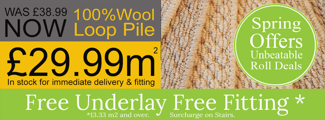 Imola 100% Wool Loop Pile 2 Ply Yarn