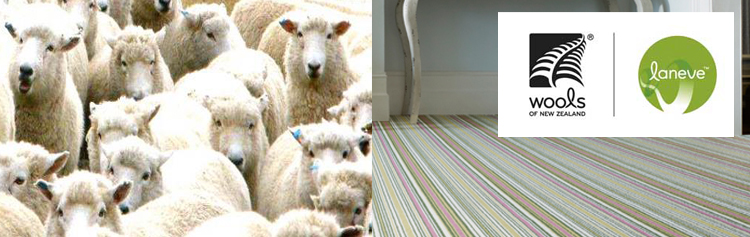 Laneve New Zealand Wool, traceable sustainable 100% wool carpets compleately natural and biodegradable.