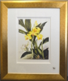 Samuel Holden - Orchid: Zygopetalon Rostrata and Phajus Maculata (Framed) 3