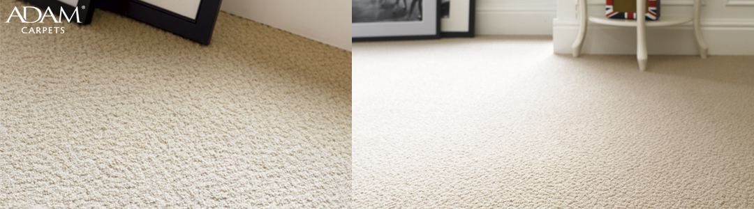 Adam Carpets Artistry at Kings of Nottingham for the best fitted prices on all Adam Carpets.