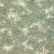 Brintons Fresco Whispering Grass Sage - 24/953