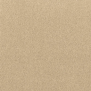 Brintons Carpets Majestic Marula (M342). Soft Wool Blend Plain Carpet, Medium Pile, Available in over 60 Colours - Free Fitting in 30 Mile Radius of Nottingham