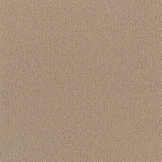 Brintons Carpets Majestic Mink (M382). Soft Wool Blend Plain Carpet, Medium Pile, Available in over 60 Colours - Free Fitting in 30 Mile Radius of Nottingham