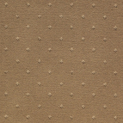 Brintons Carpets Regina Bamboo Point (268-38509). Soft Wool Blend Patterned Carpet, Medium Pile, Available in 16 Colours - Free Fitting in 30 Mile Radius of Nottingham