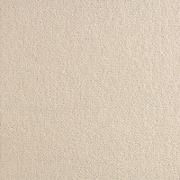 Brintons Carpets True Velvet Sushi (EV402). Soft Wool Blend Plain Carpet, Medium Pile, Available in 12 Colours - Free Fitting in 30 Mile Radius of Nottingham