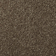 Cormar Carpets Apollo Plus Mahogany - Easy Clean Carpet - Free Fitting in 25 Mile Radius of Nottingham