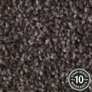 Cormar Carpets Primo Choice Bulrush - Easy Clean Twist - Free Fitting Within 25 Miles of Nottingham