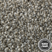 Easy Clean luxury Pile Carpets