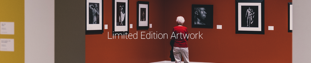 Limited Edition Art at Kings Interiors