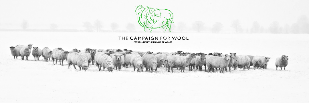 The Wool Campaign
