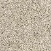 Alternative Flooring Barefoot Wool Bikram Laya Carpet 5902