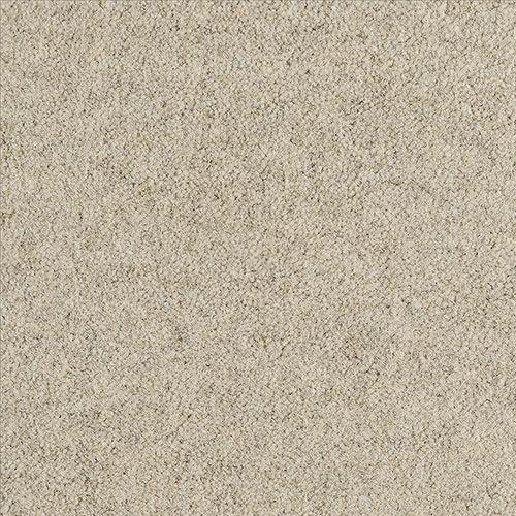 Alternative Flooring Barefoot Wool Bikram Laya Carpet 5902