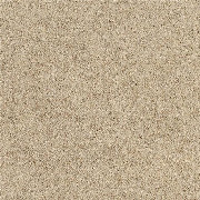 Alternative Flooring Barefoot Wool Bikram Karma Carpet 5901