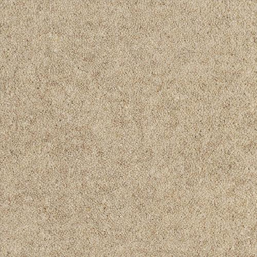 Alternative Flooring Barefoot Wool Bikram Karma Carpet 5901