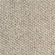 Alternative Flooring Wool Hatha Carpet