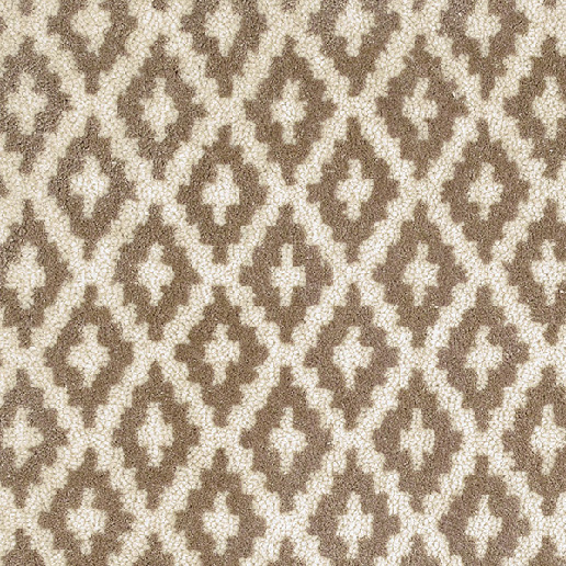 Alternative Flooring Barefoot Taj Rani Carpet 5992